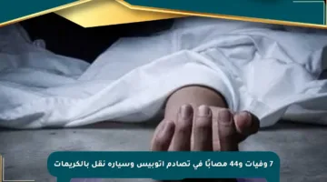 7 وفيات و44 مصابًا في تصادم أتوبيس وسيارة نقل بالكريمات